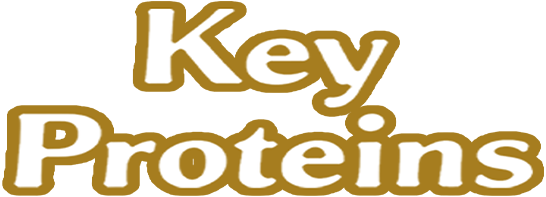 Key Proteins